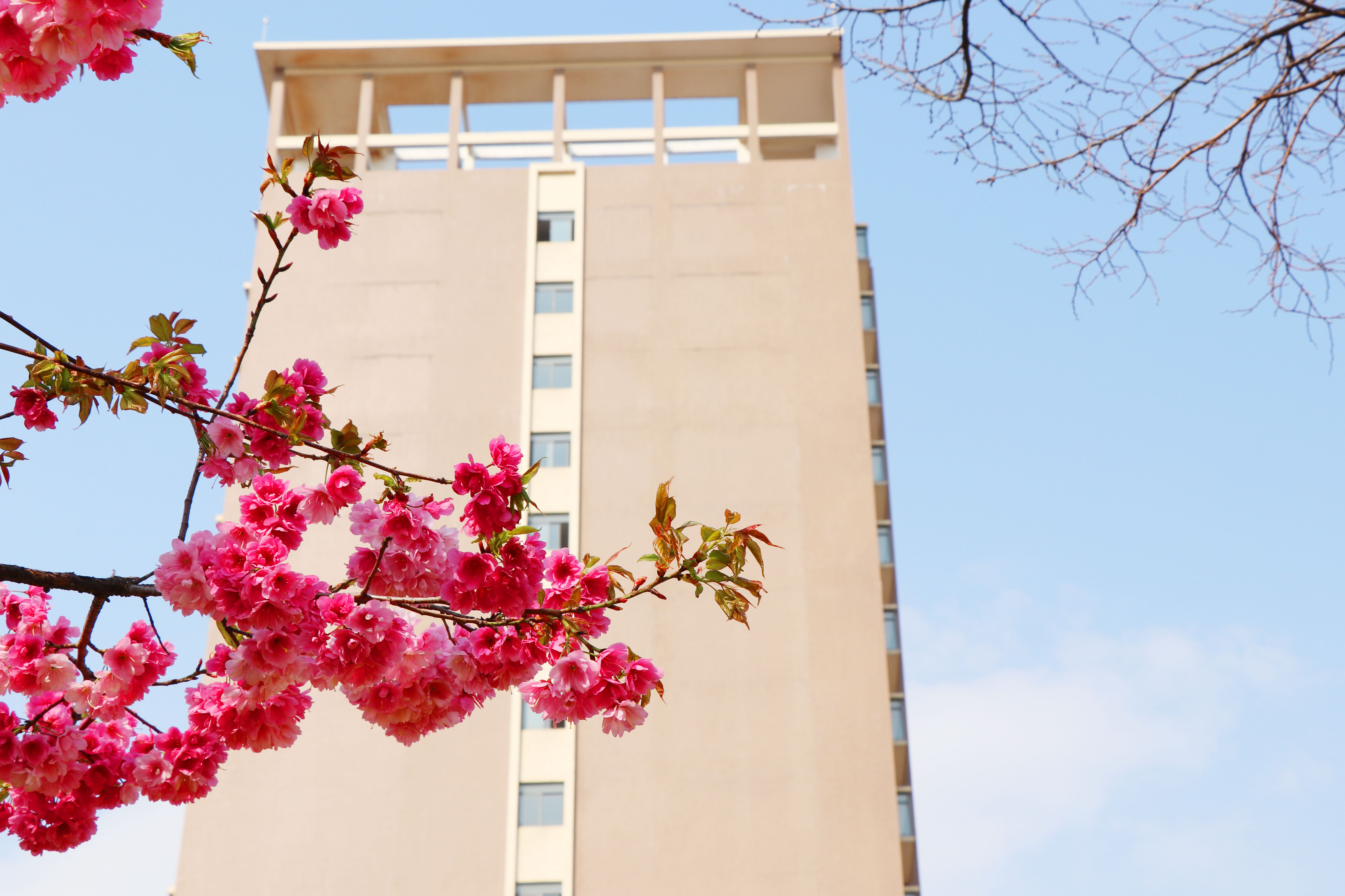 昆明市卫生学校 (3).jpg