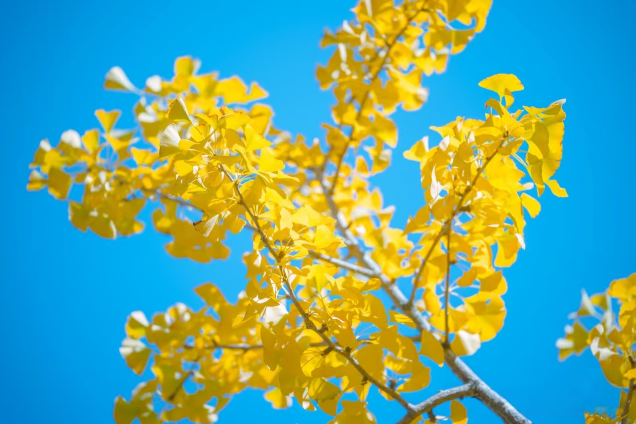 云南城市建设职业学院 (6).jpg