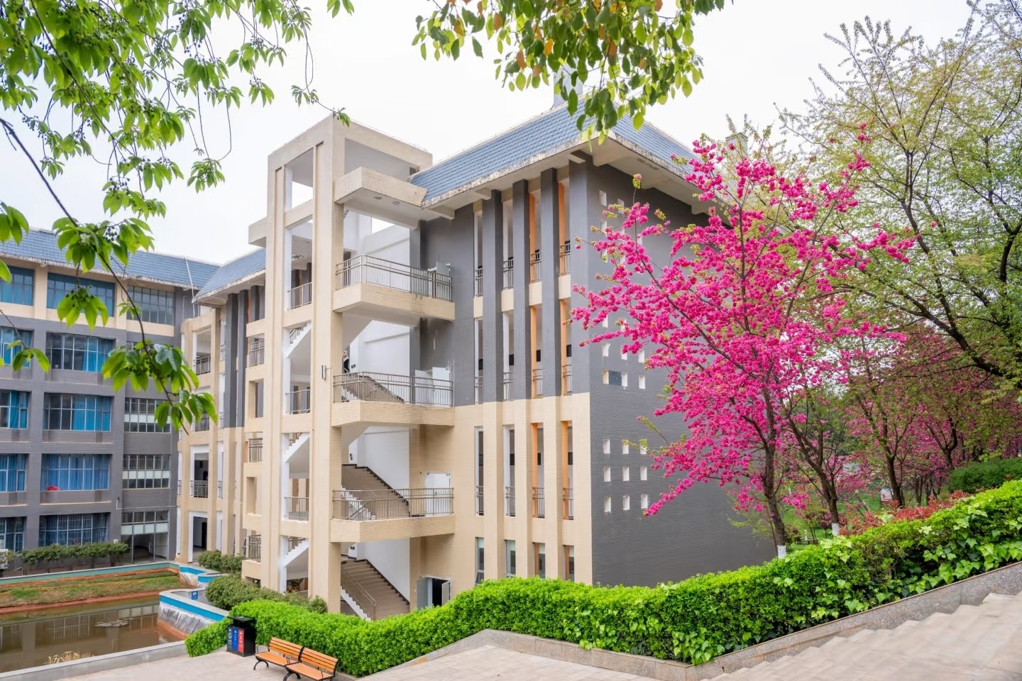 云南城市建设职业学院 (17).jpg