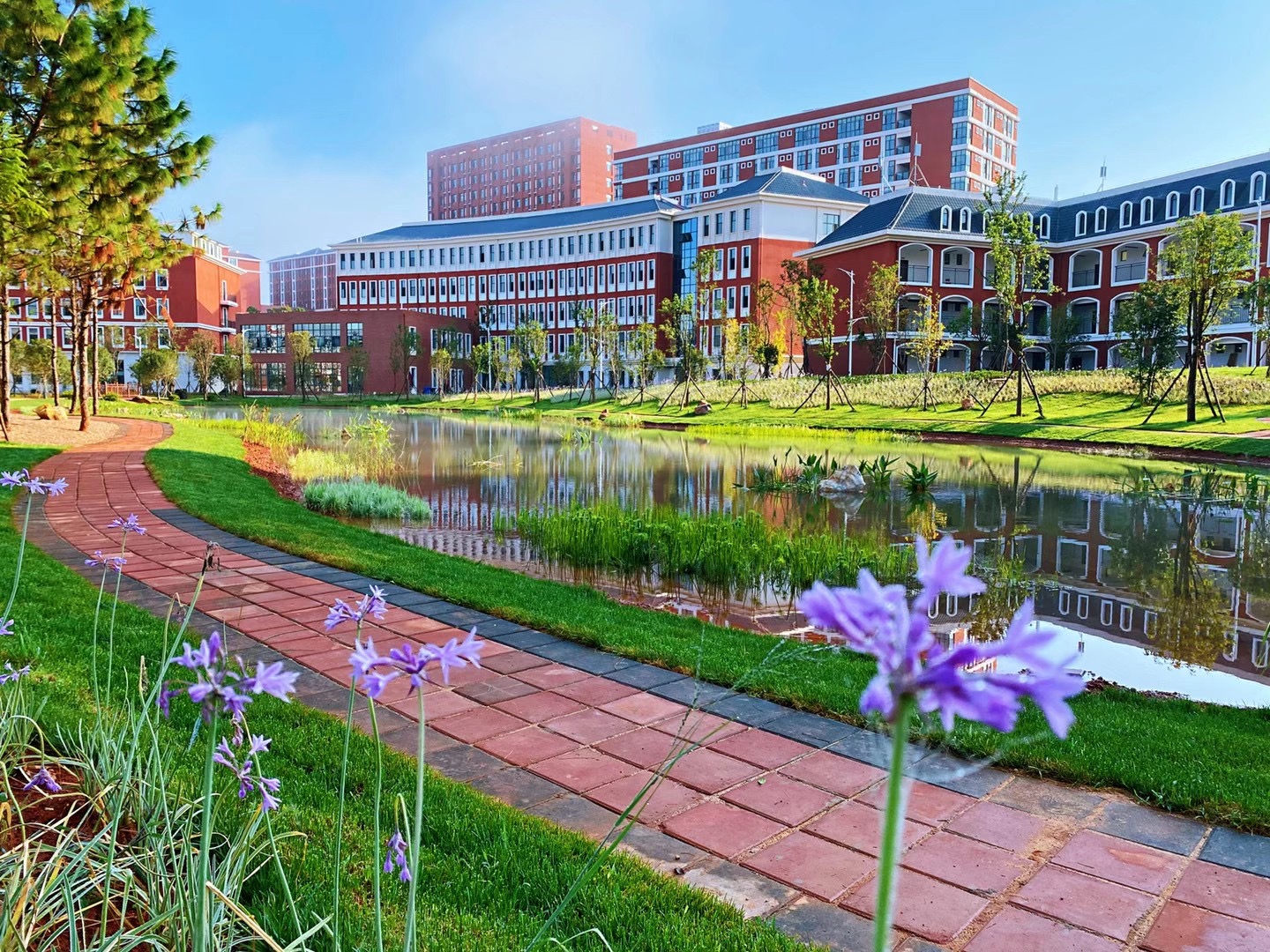 云南经贸外事职业学院 (25).jpg