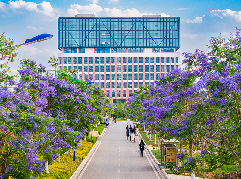 云南理工职业学院 (30).jpg