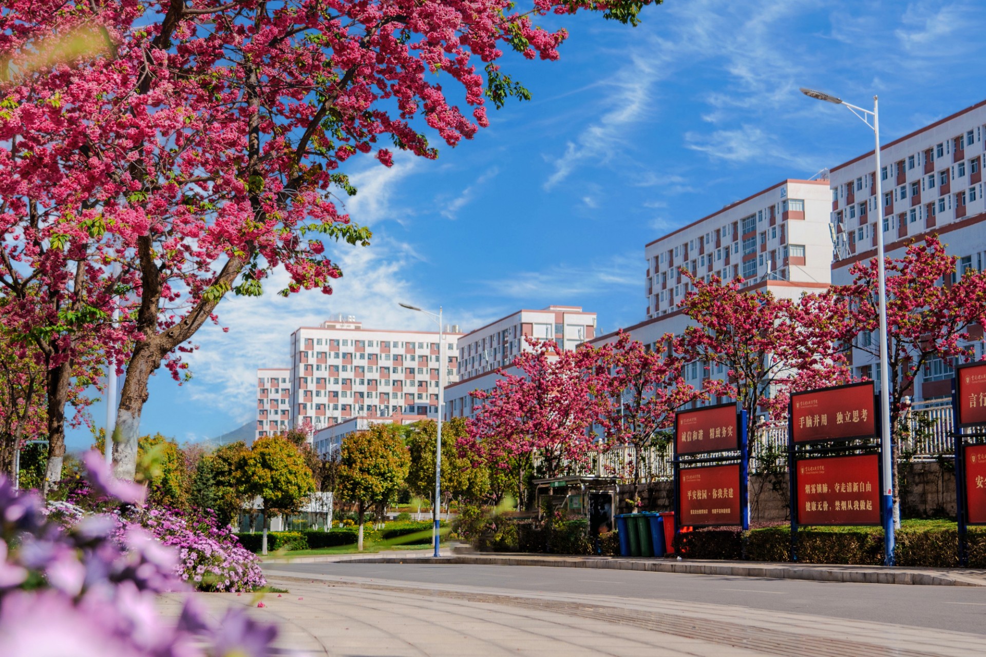 云南理工职业学院 (10).jpg