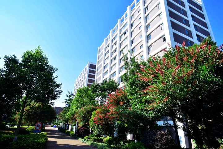 云南工程职业学院 (28).jpg