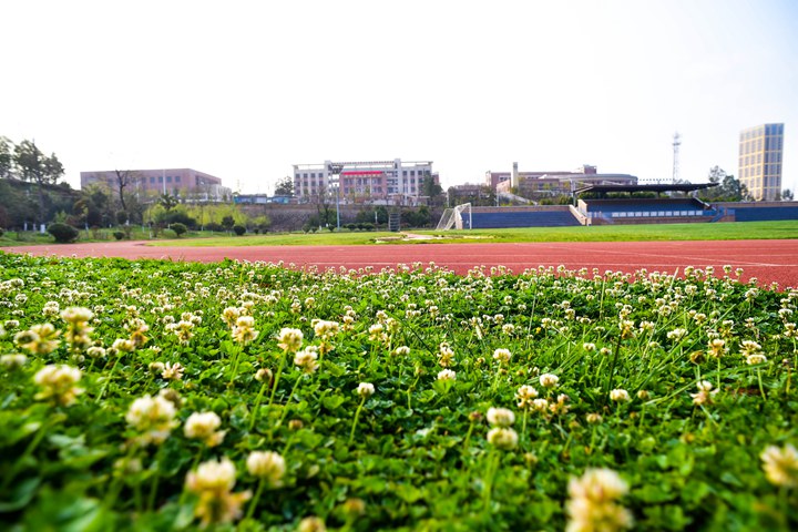 云南工程职业学院 (21).jpg