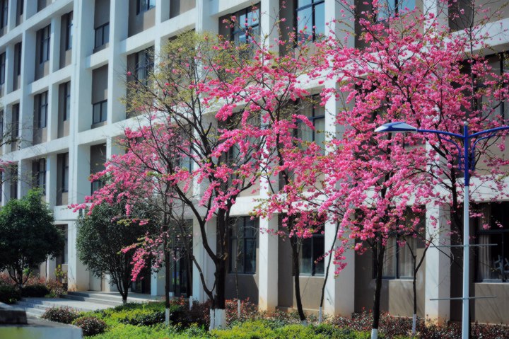 云南工程职业学院 (20).jpg