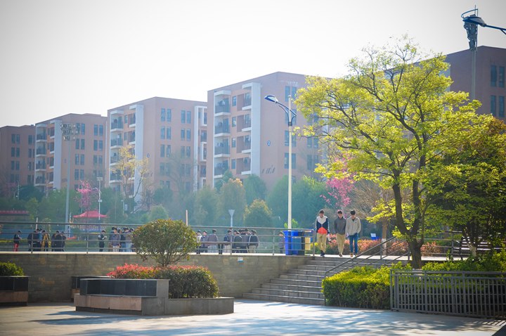 云南工程职业学院 (9).jpg