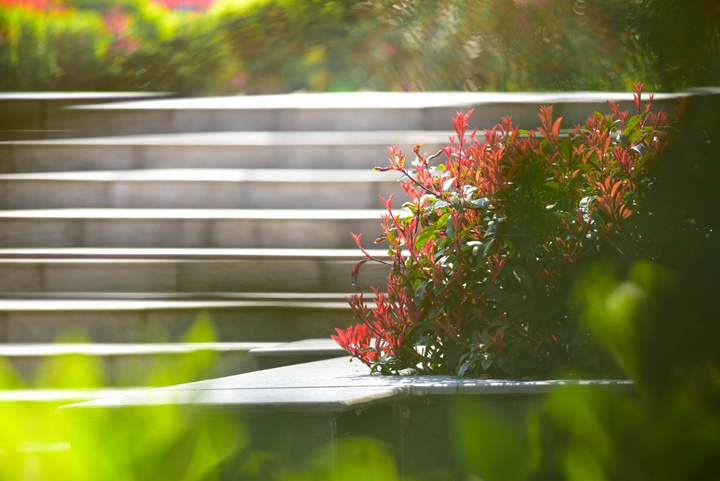 云南工程职业学院 (16).jpg