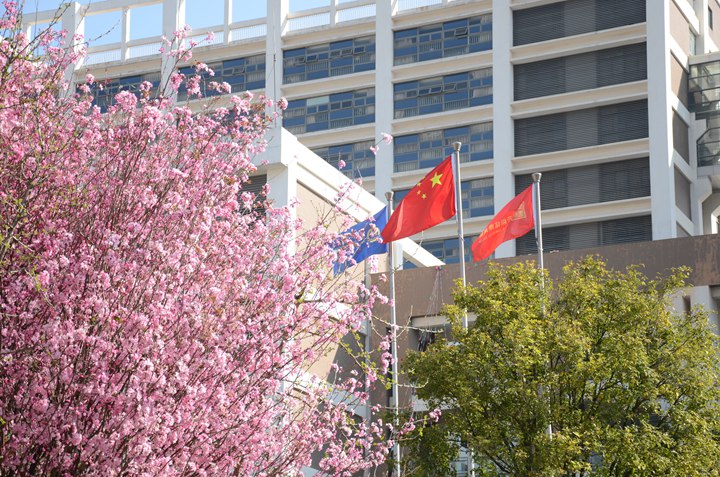 云南工程职业学院 (8).jpg