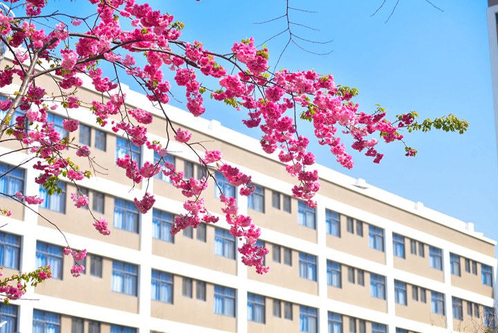 云南工程职业学院 (23).jpg