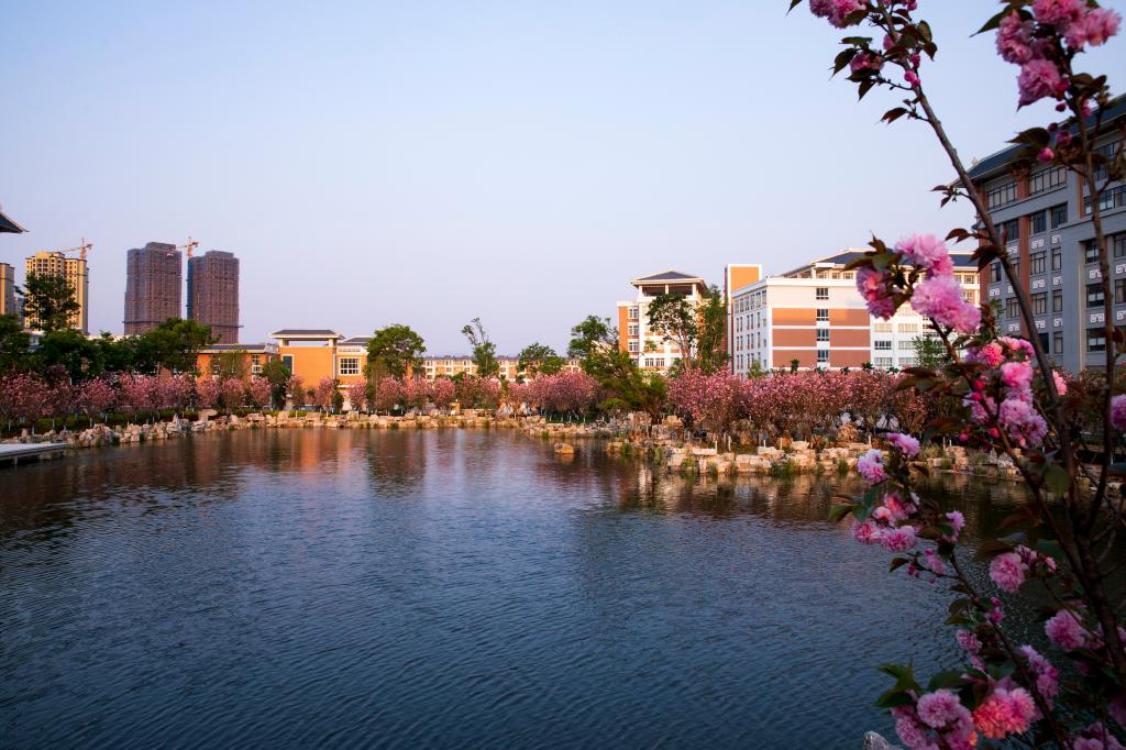 云南工业技师学院 (1).jpg