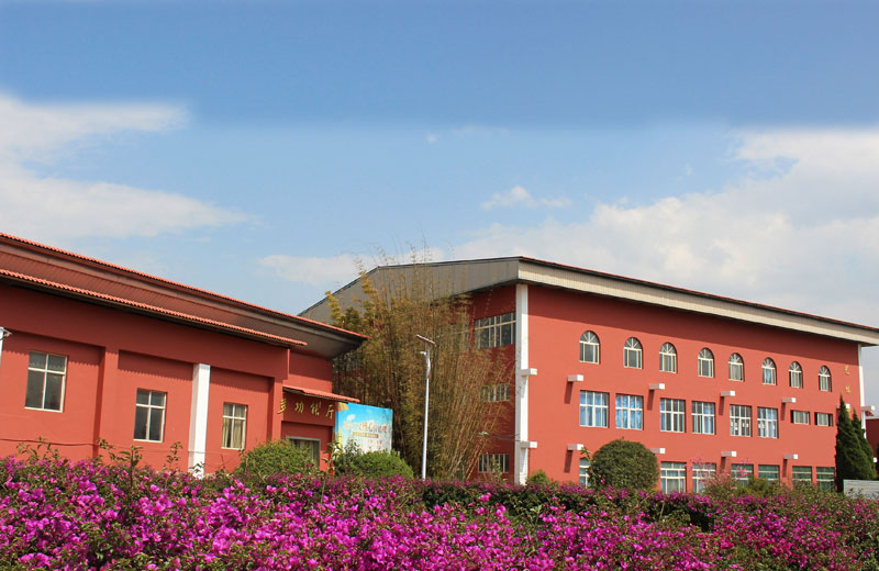 云南新兴职业学院 (1).jpg