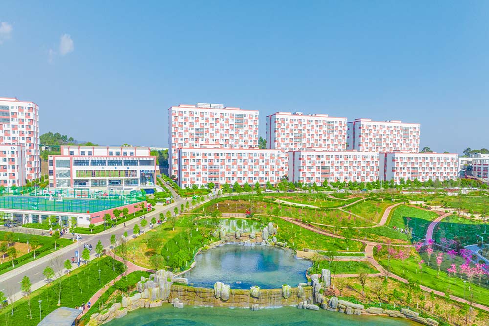 云南医药健康职业学院 (10).jpg