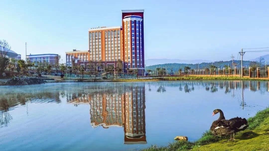 云南经贸外事职业学院 (14).jpg