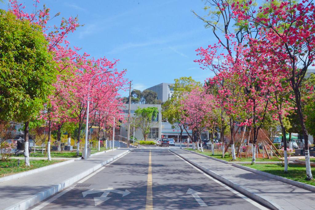 云南体育运动职业技术学院 (4).jpg