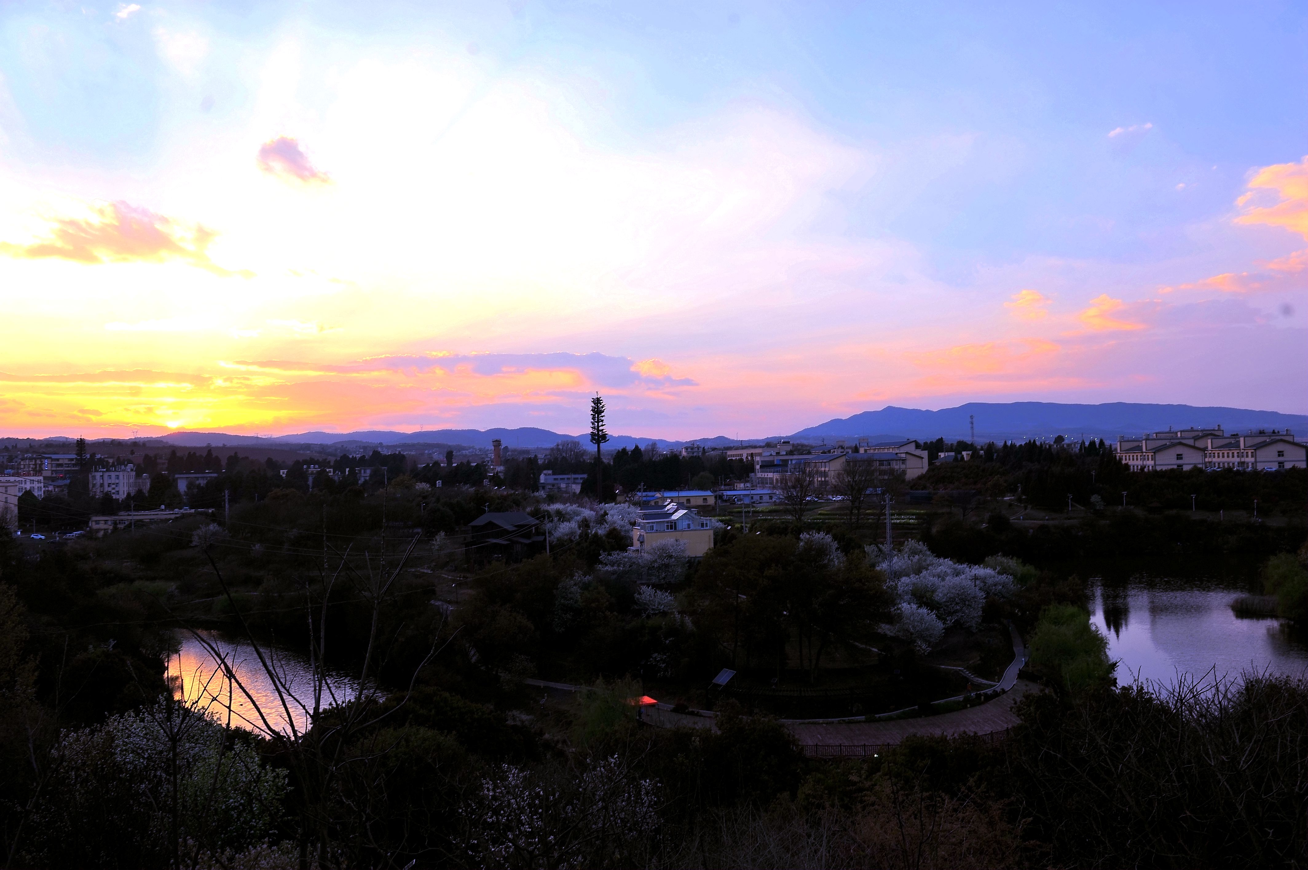 云南农业职业技术学院 (45).jpg