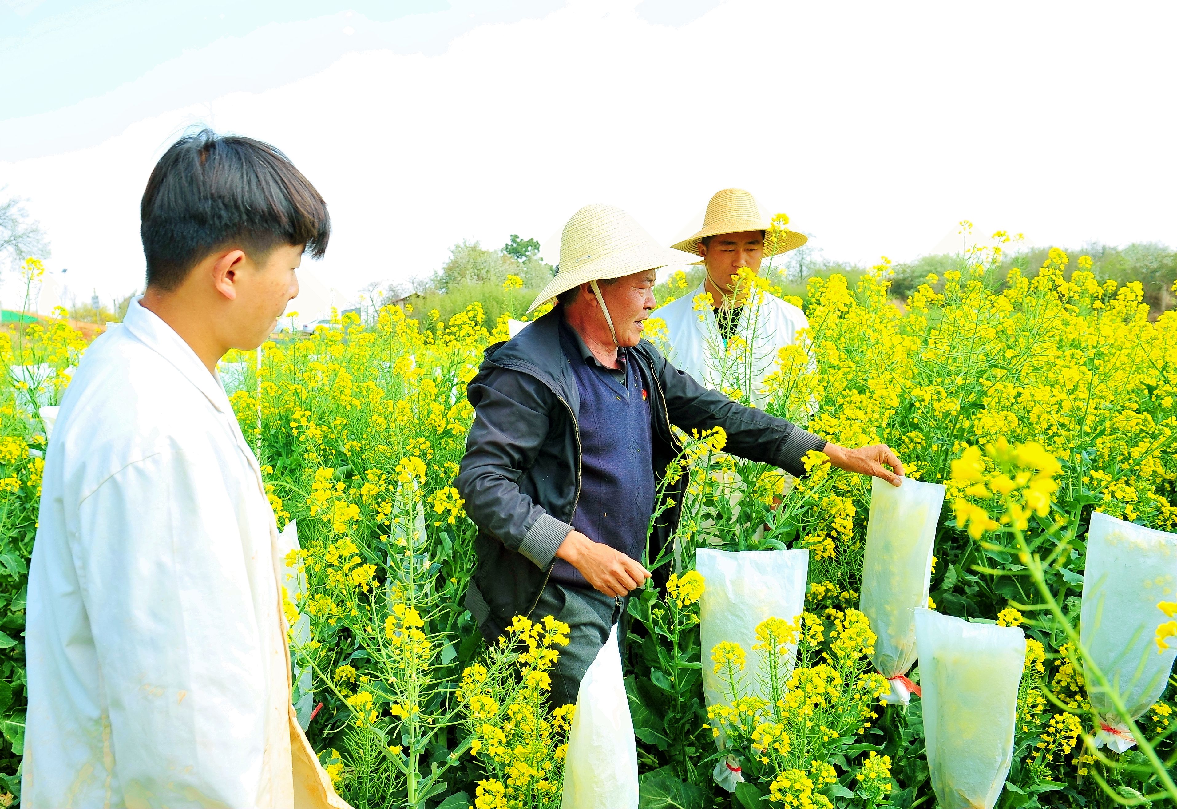 云南农业职业技术学院 (69).jpg