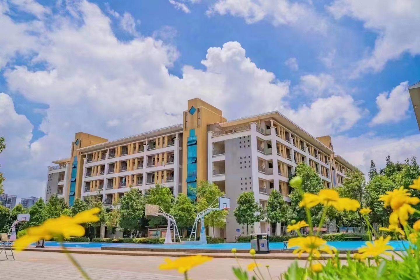 云南技师学院 (16).jpg