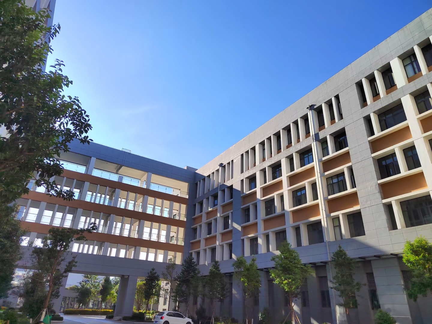 云南技师学院 (47).jpg