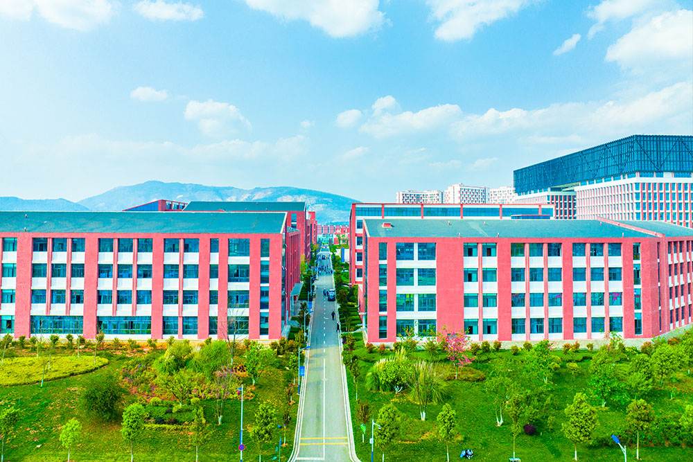 云南医药健康职业学院 (8).jpg