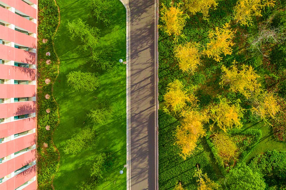 云南医药健康职业学院 (7).jpg