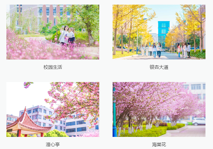 云南医药健康职业学院 (10).png