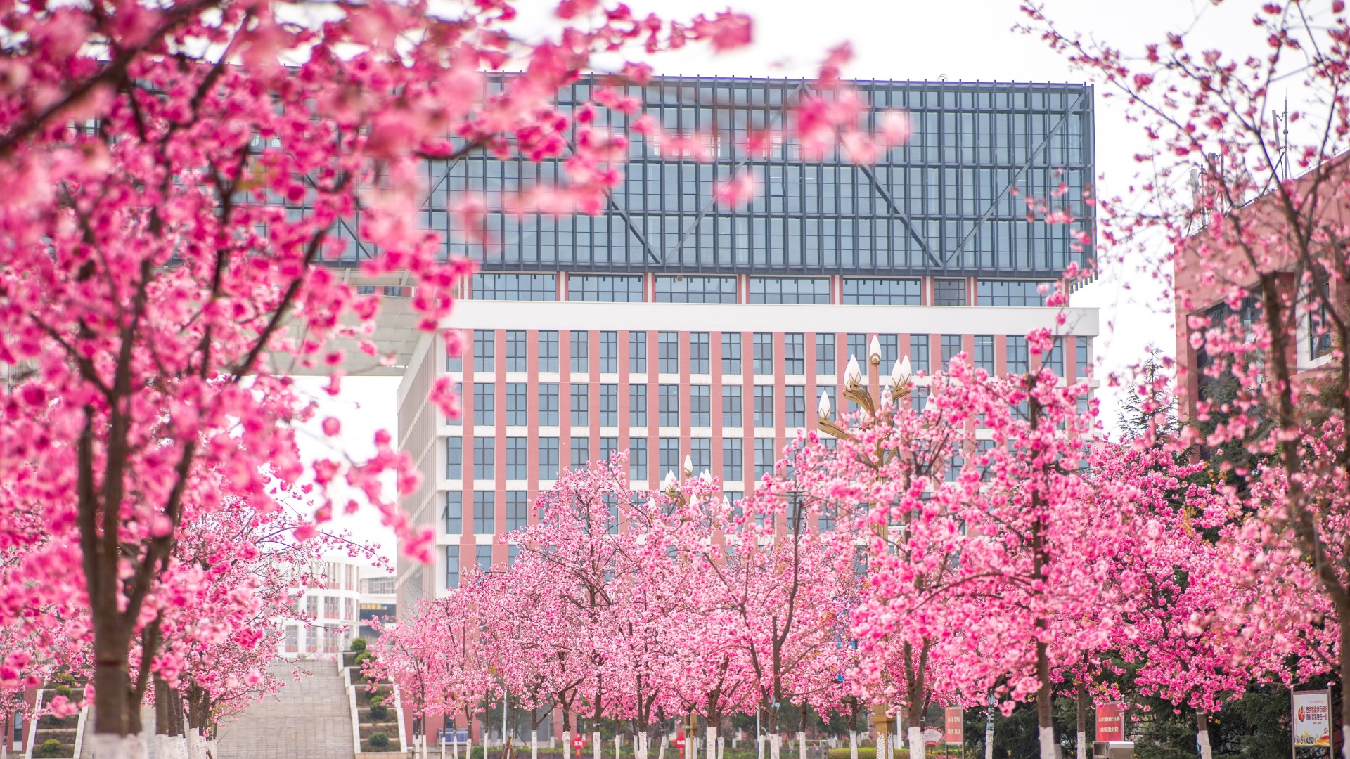 云南理工职业学院 (24).jpg