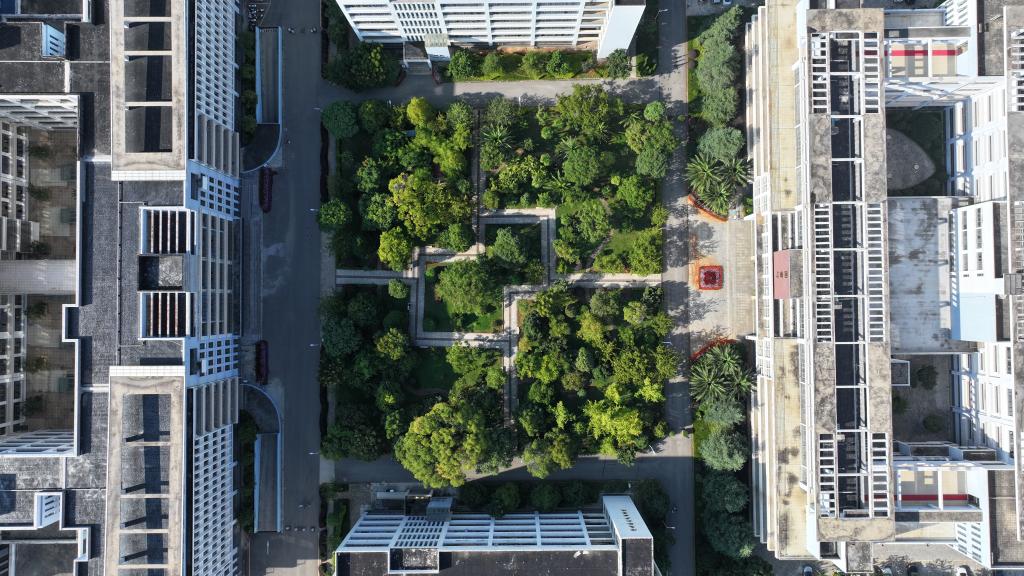 云南能源职业技术学院 (3).jpg