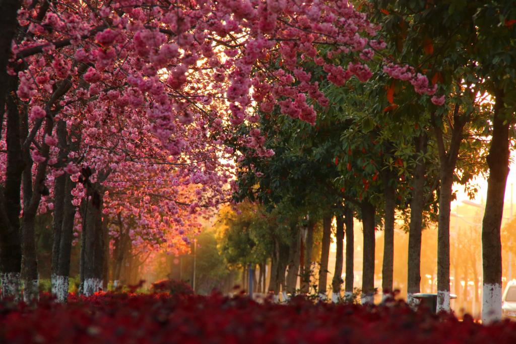 云南能源职业技术学院 (5).jpg