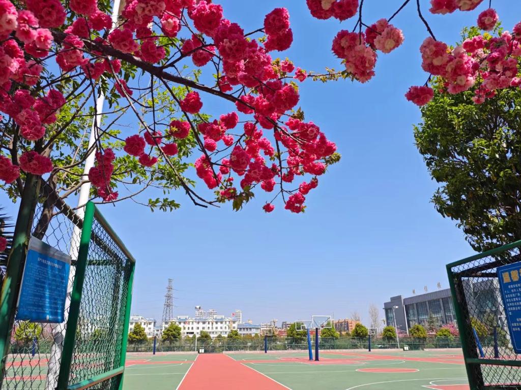 云南能源职业技术学院 (73).jpg