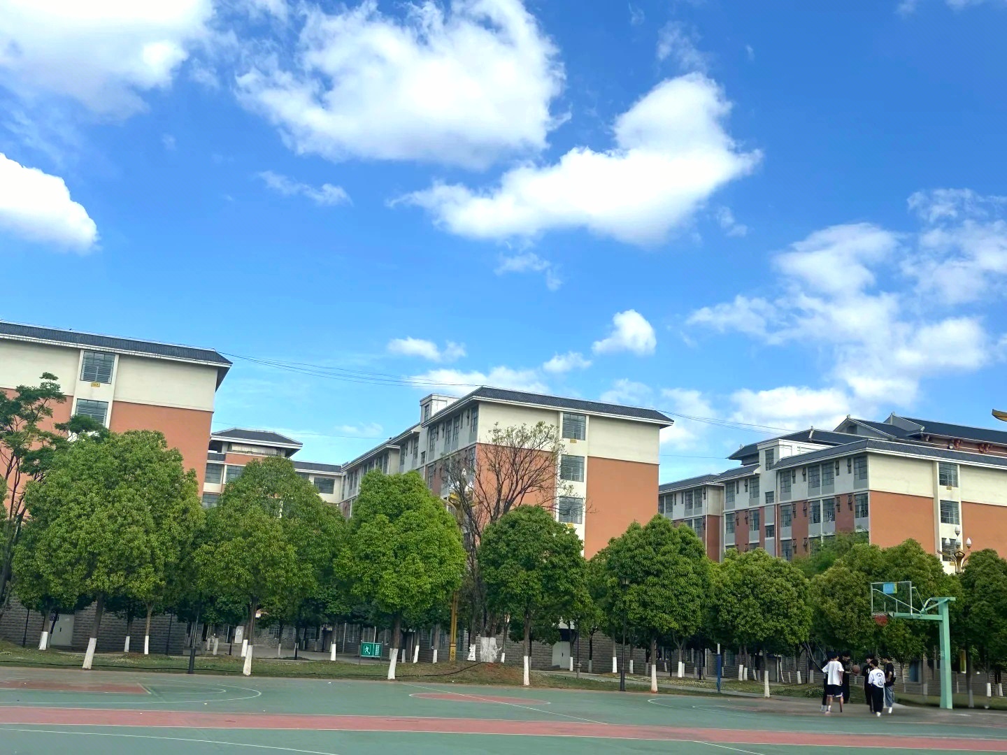 云南工贸职业技术学院 (52).jpg