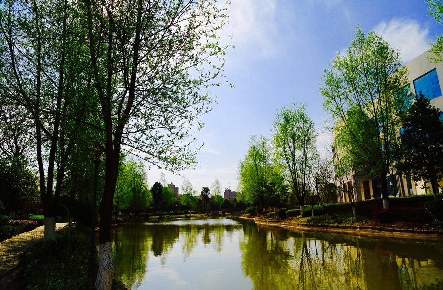 曲靖农业学校 (10).png