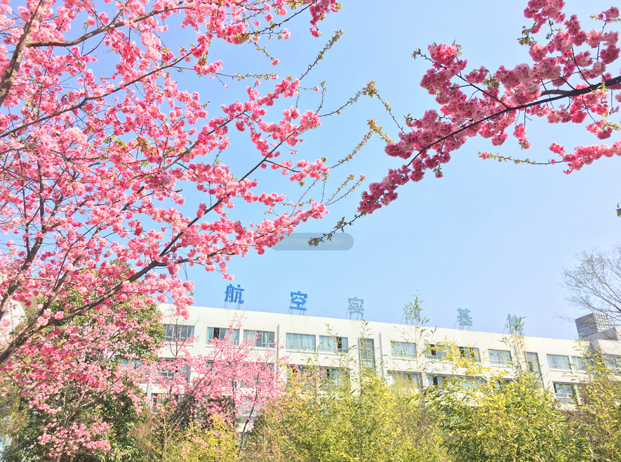 曲靖农业学校 (2).png