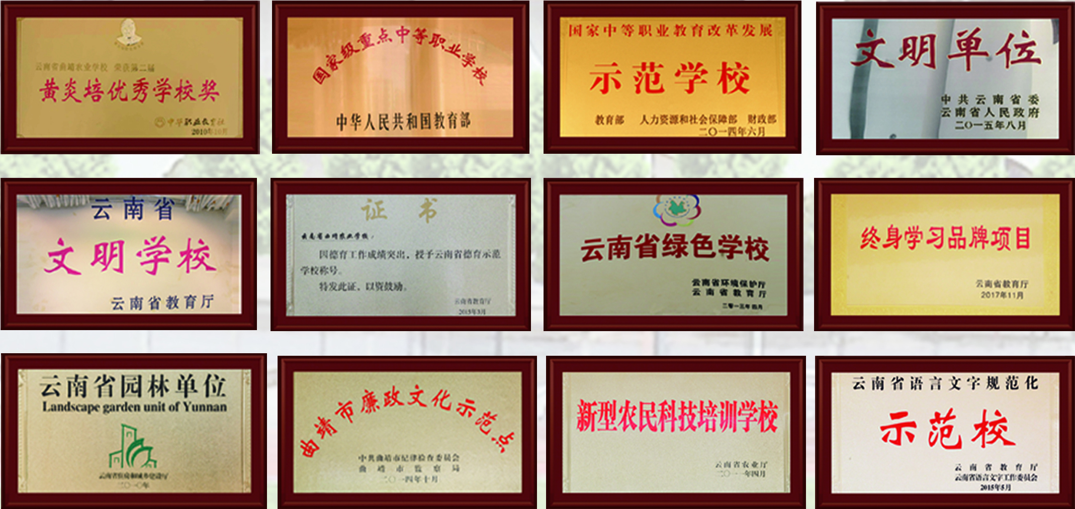 曲靖农业学校 (1).jpg