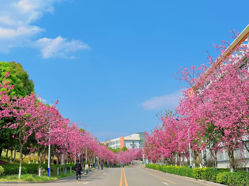 云南轻纺职业学院 (15).jpg