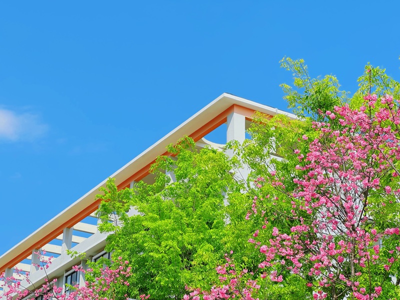 云南轻纺职业学院 (16).jpg