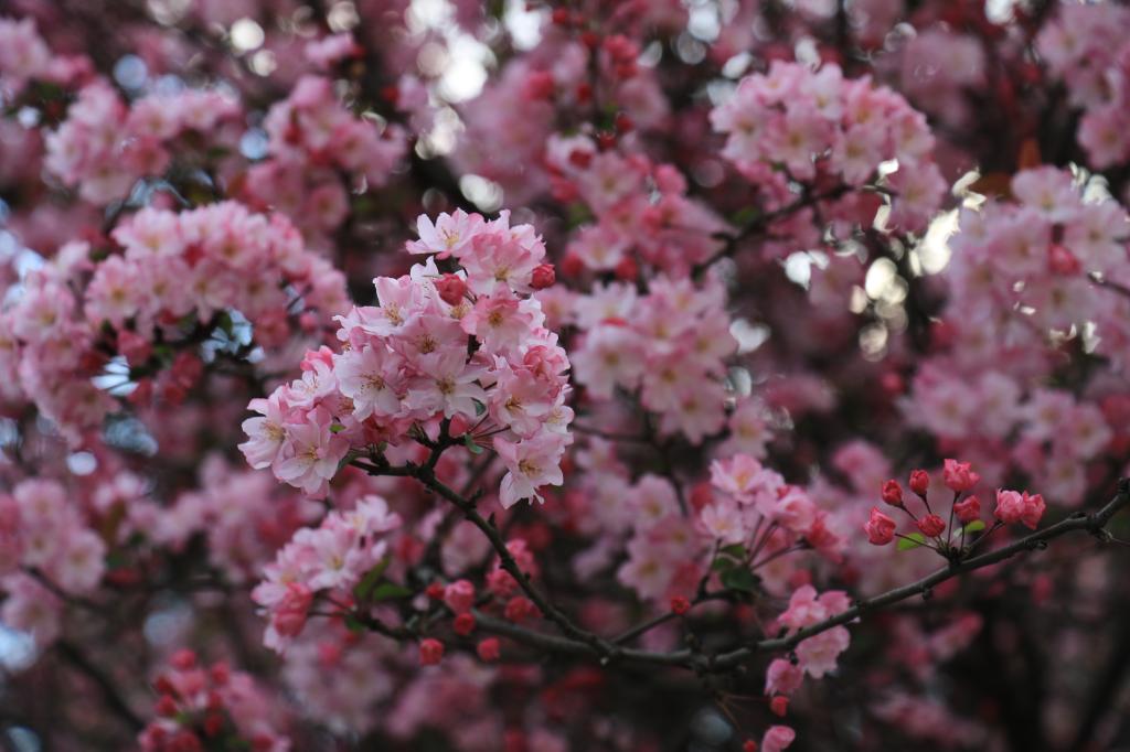 云南旅游职业学院 (7).jpg