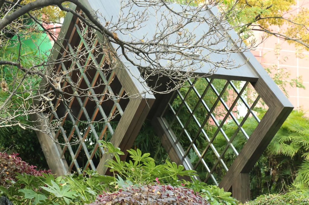 云南旅游职业学院 (1).jpg