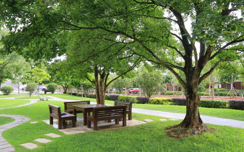 云南林业职业技术学院 (8).jpg