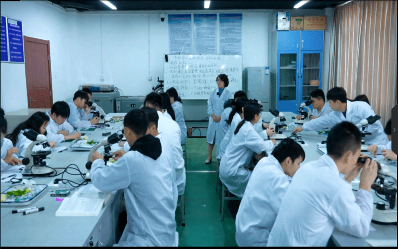 云南林业职业技术学院 (4).png