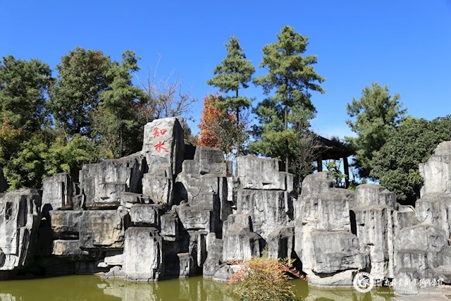 云南林业职业技术学院 (1).jpg