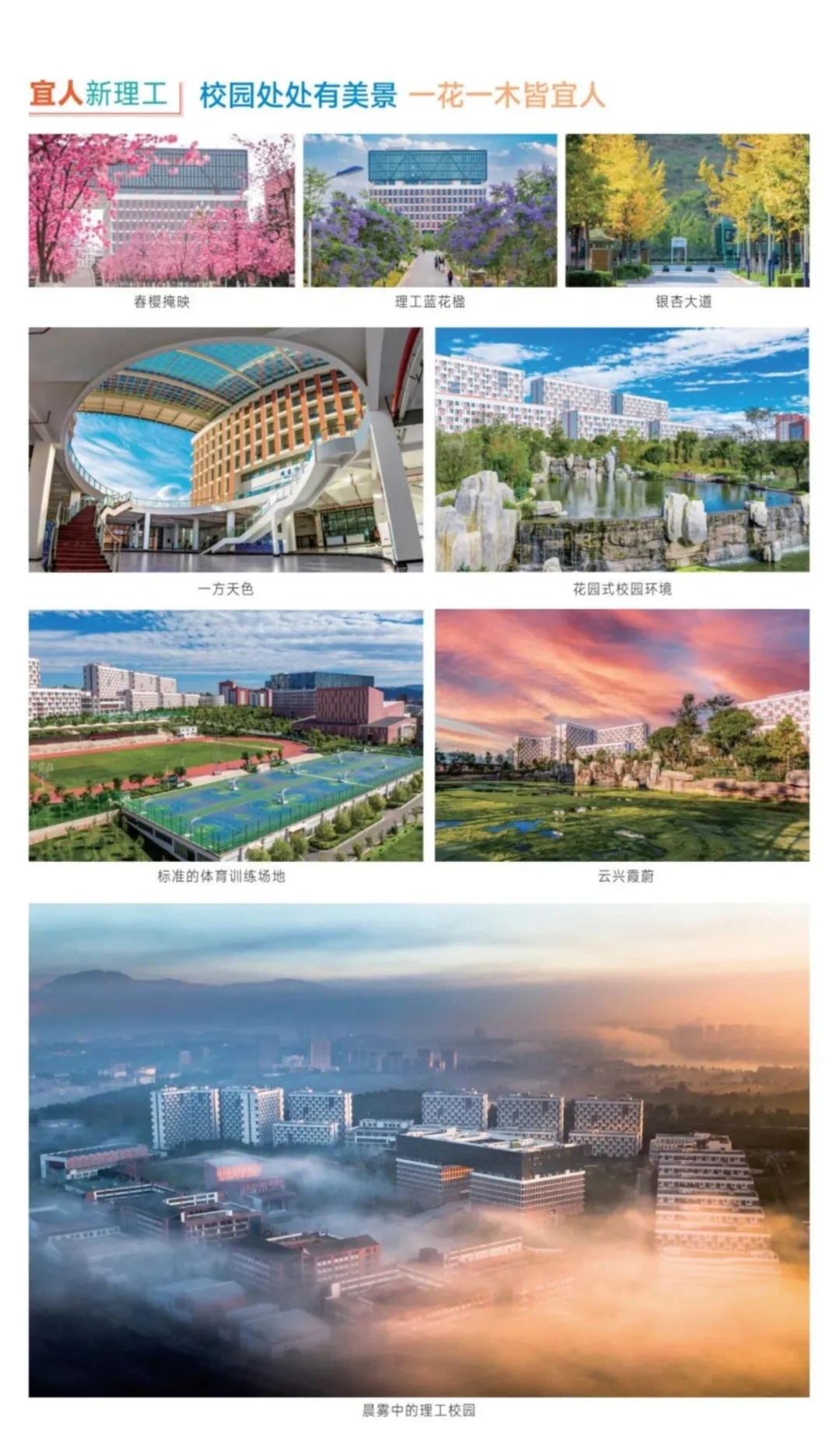 云南理工职业学院 (9).jpg