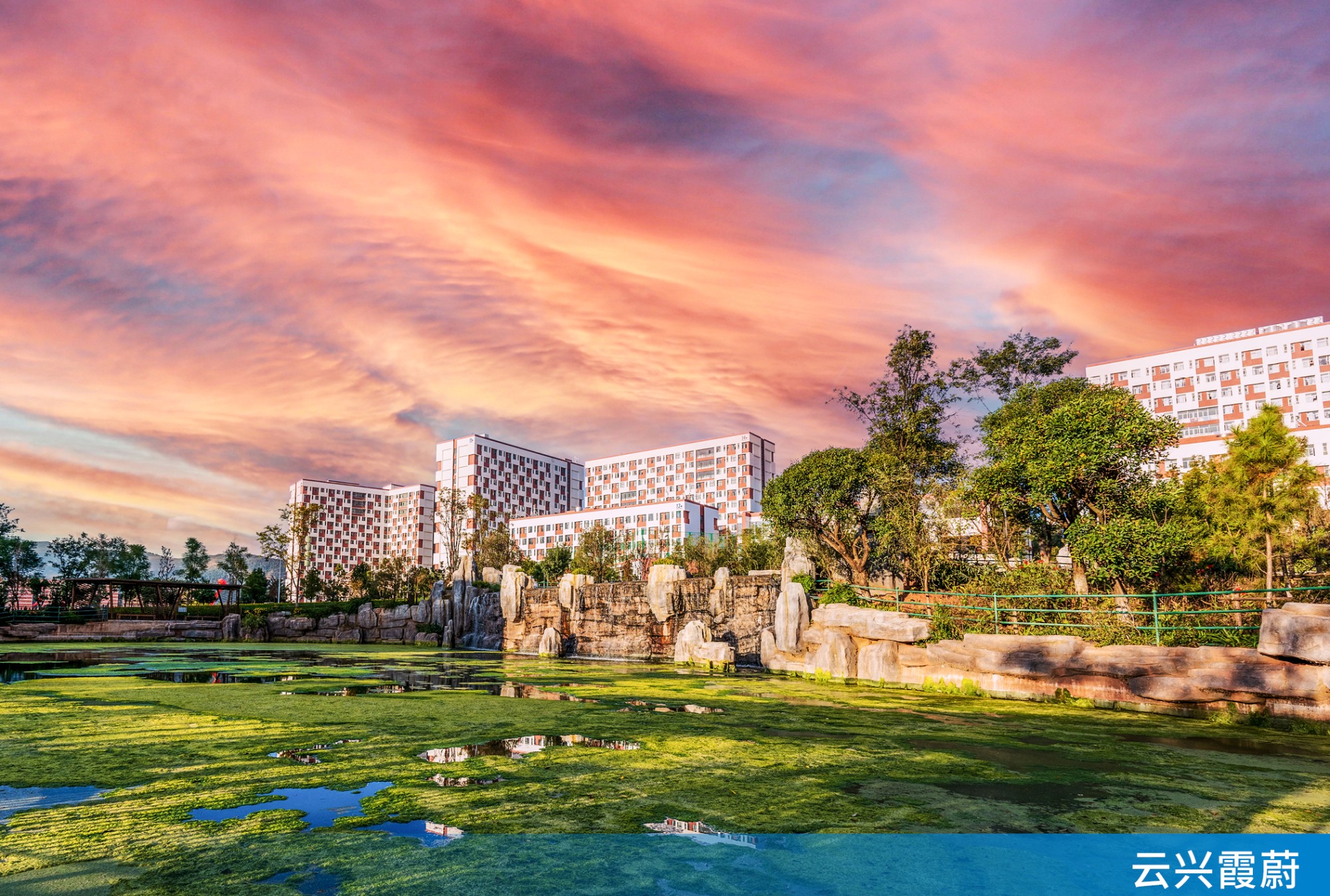 云南理工职业学院 (6).jpg