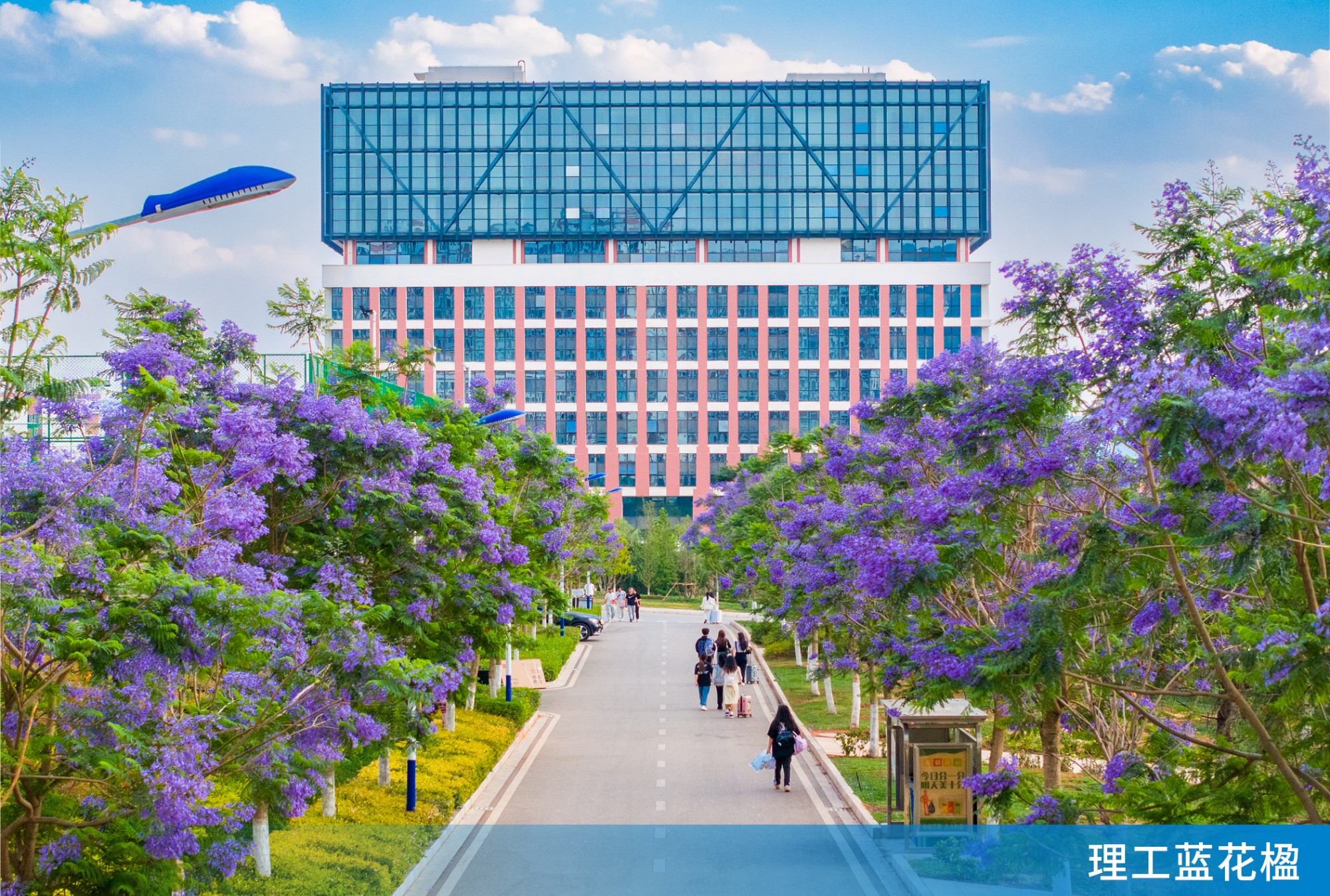 云南理工职业学院 (7).jpg