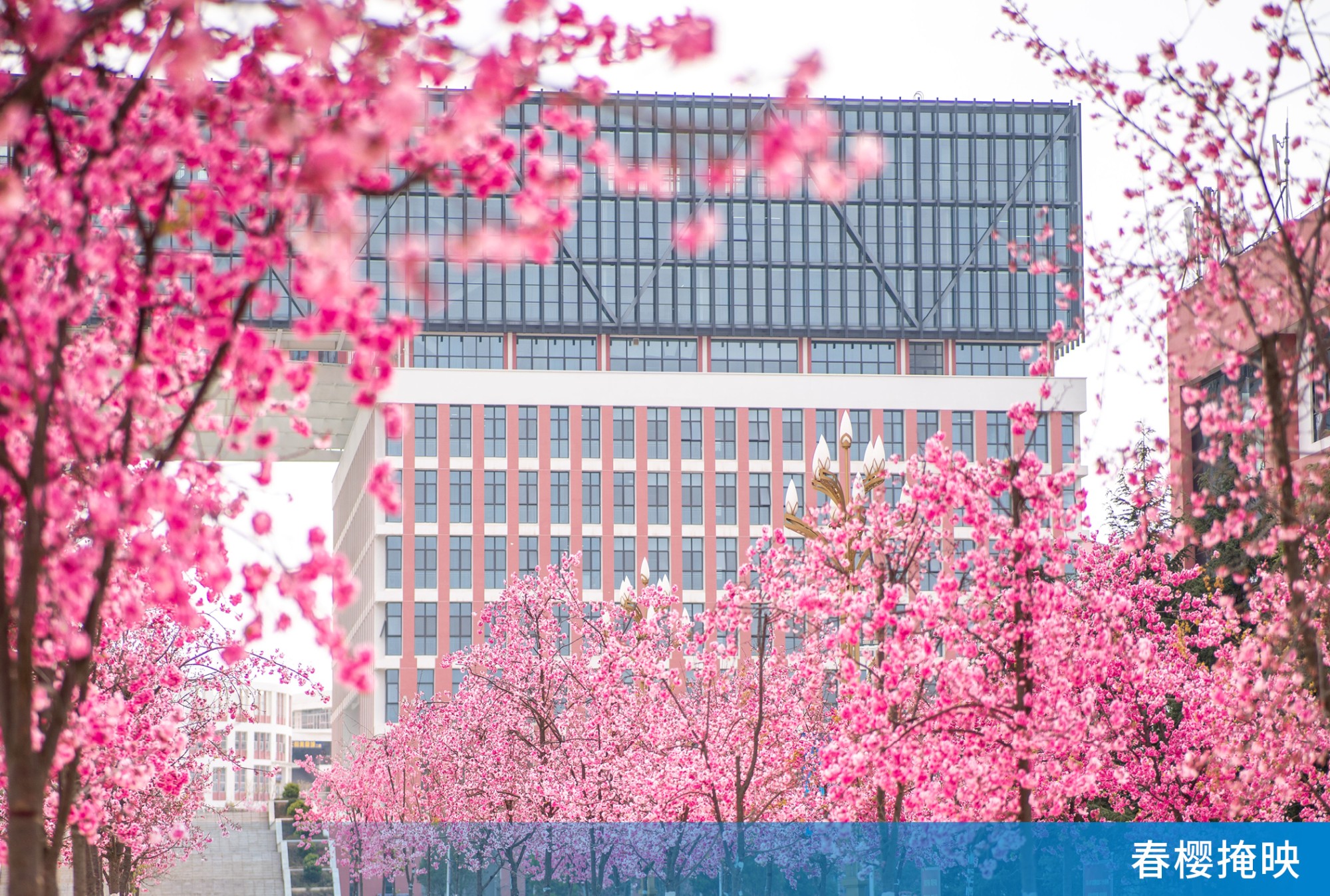 云南理工职业学院 (8).jpg