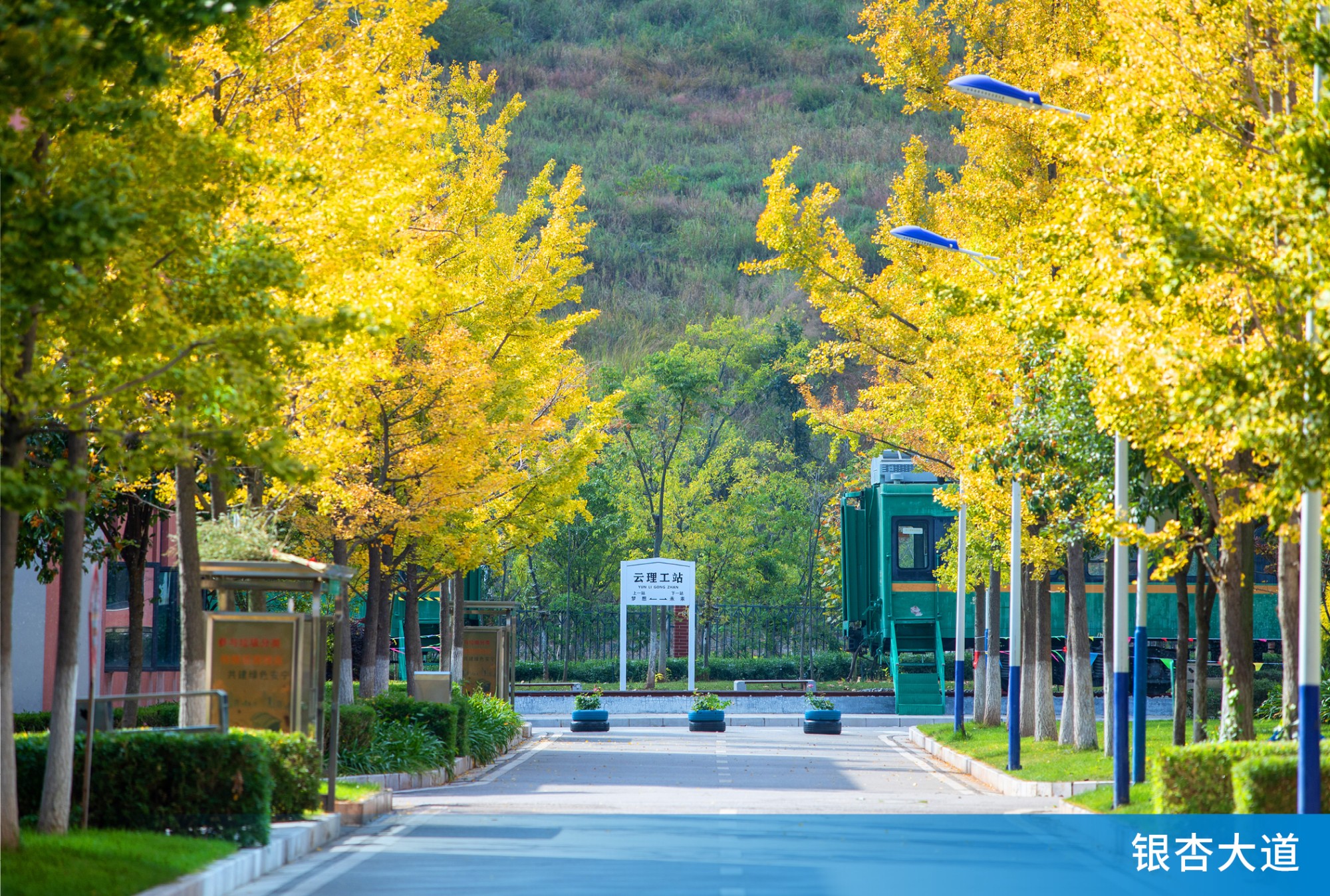 云南理工职业学院 (9).jpg