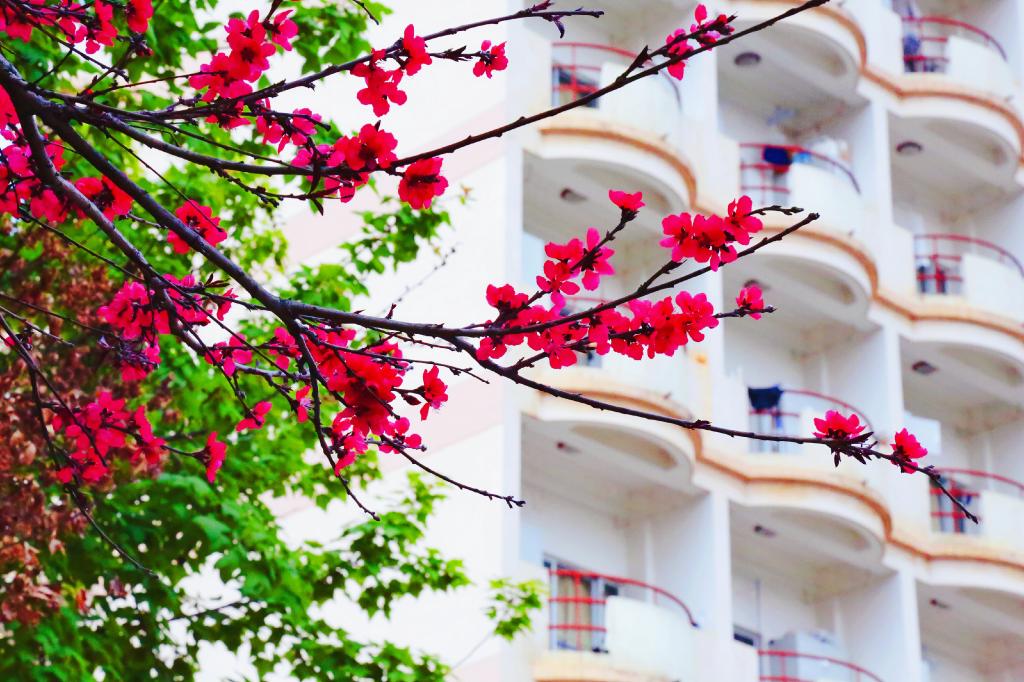 云南旅游职业学院 (11).jpg