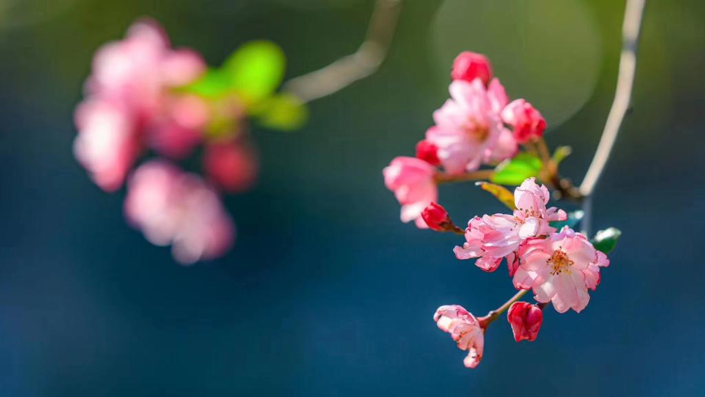 云南旅游职业学院 (4).jpg