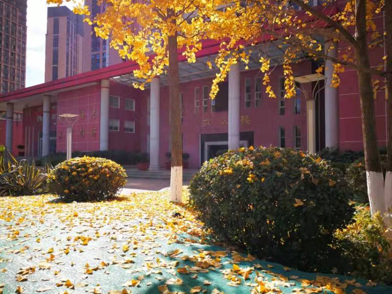 云南旅游职业学院 (16).jpg